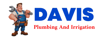 Trusted plumber in RISON